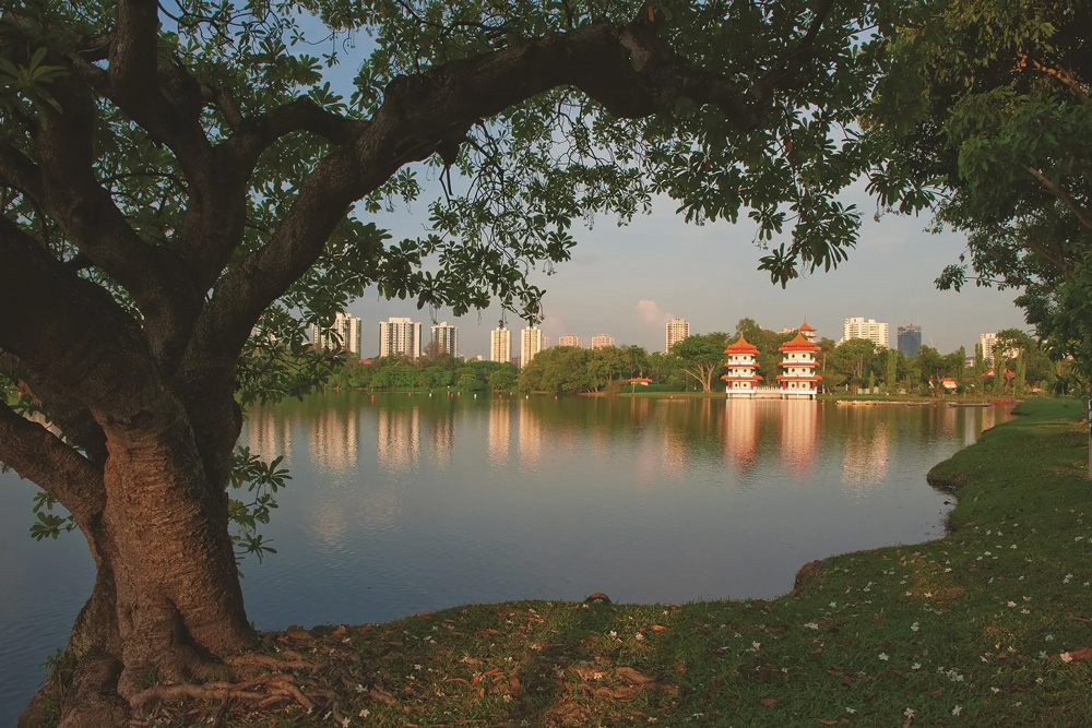 Jurong Lake Gardens