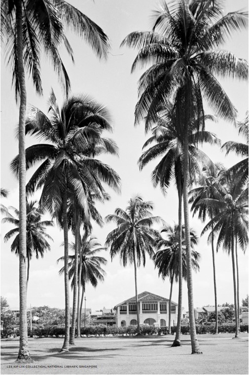 Meyer Mansion tropical trees