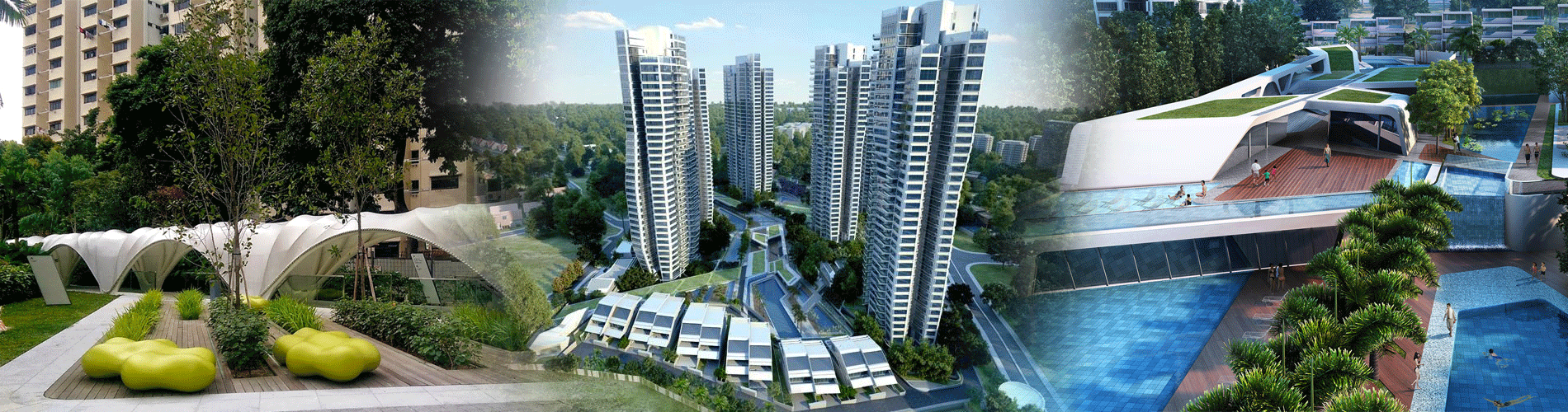D LeeDon