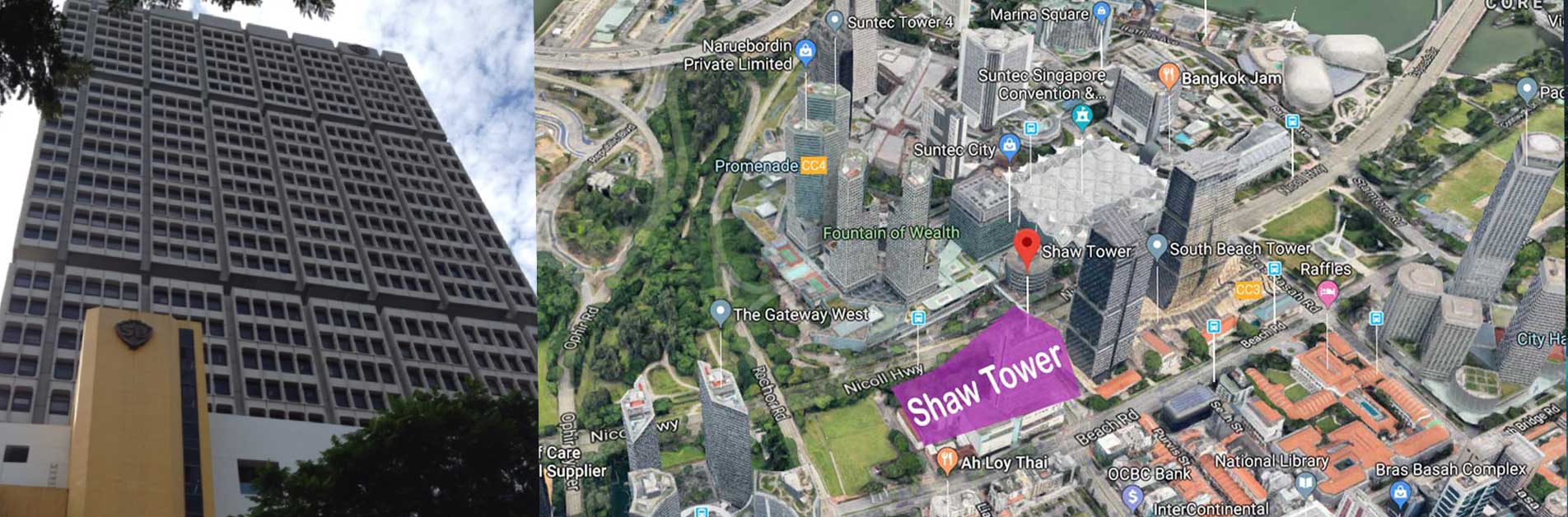 Shaw Tower New Launch Condo