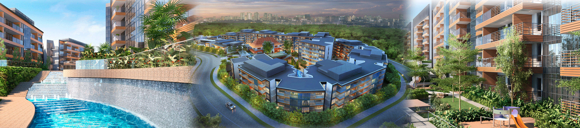 Sophia Hills