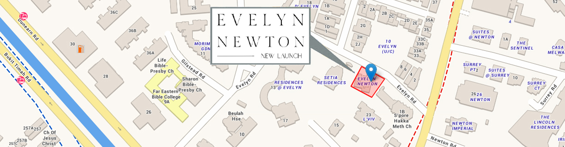 Evelyn Newton New Launch