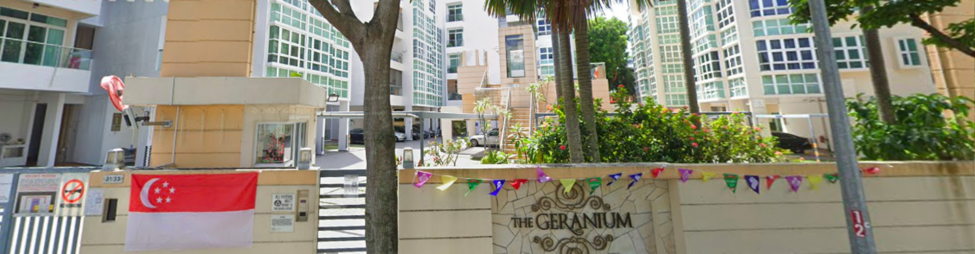 The Geranium