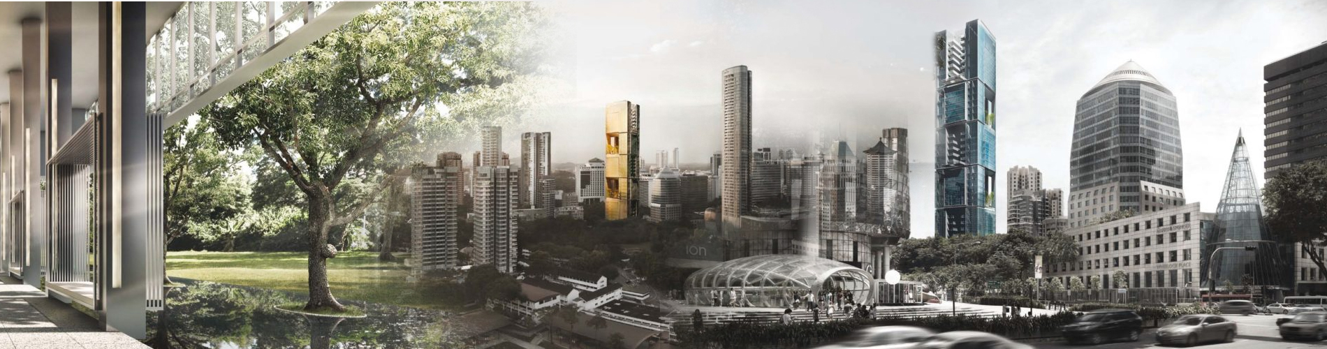 21 Angullia Park